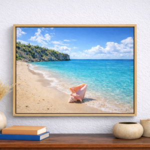Conch - Float