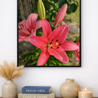 Classic Frame Pink Lily