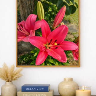 Classic Frame Pink Lily