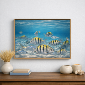 Float framed canvas Sergeant Major